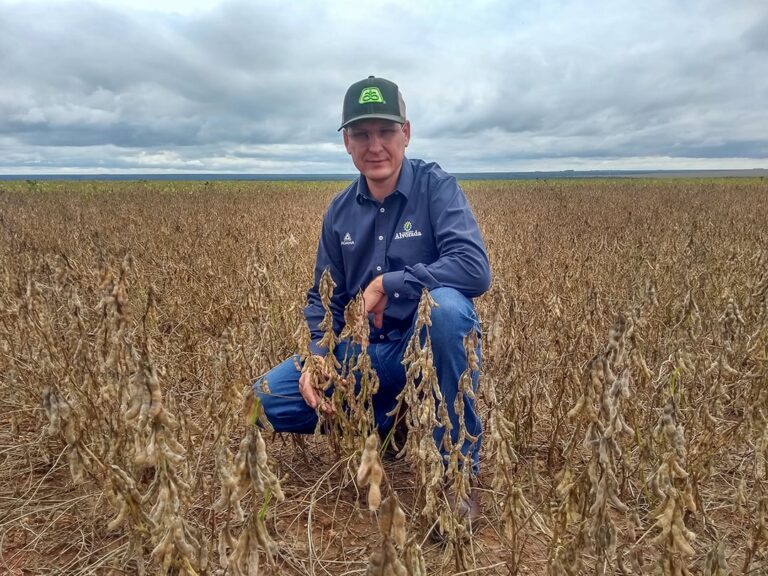 85% dos produtores de soja e milho cumprem exigências para crédito rural