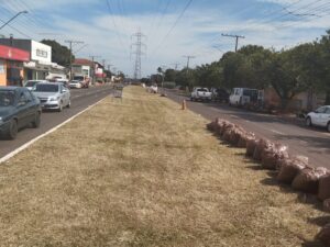 A pedido do vereador Marquinhos Trad, limpeza em canteiro central da Avenida Guaicurus finalmente acontece