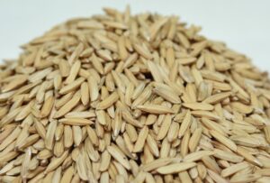 Arroz: Brasil amplia exportação em 82% e reduz importações em maio