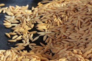 Arroz segue em queda, mas maior demanda limita a retração