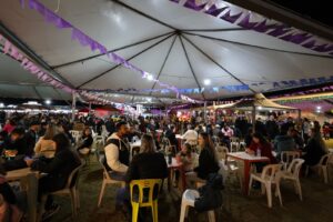 Artesãos diversificam exposição e elogiam organização da Festa Junina
