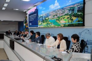 Audiência aborda critérios técnicos e sociais para conceder anistia à regularização de imóveis