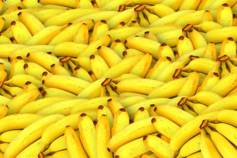 Banana-nanica: aumento na produção baixa média de preços