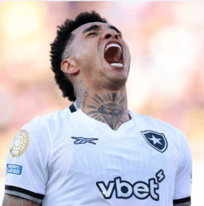Botafogo e Palmeiras tem dia inesquecível no Mundial