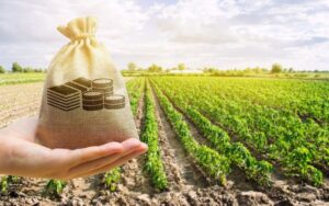 Brasil deveria seguir modelo de EUA e Espanha antes de liberar crédito rural, diz FGV Agro