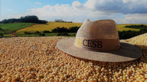 Cesb premiará especialistas de soja e destacará avanços no setor