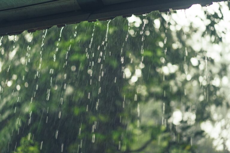 Clima muda o ‘jogo’: Sul se recupera das chuvas e outras regiões chegam a 38 °C