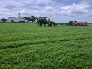 Com plantio iniciado, estado brasileiro deve expandir área de soja em até 7%