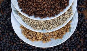 Da indústria da beleza a novas experiências de consumo: café ganha usos além da xícara