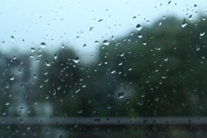 El Niño e La Niña: fenômenos chegam às lavouras de soja?