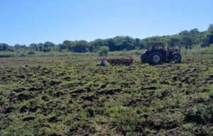 Em maio, Seprodes atendeu 23 pequenos produtores e alcançou 25 hectares trabalhados