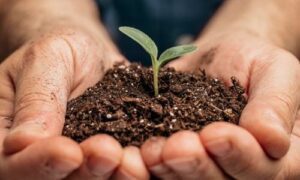 Fertilizantes: guerra entre Israel e Irã preocupa o agro nacional