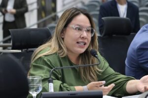 Mesmo com voto favorável de Ana Portela, projeto para internação de dependentes químicos  é rejeitado