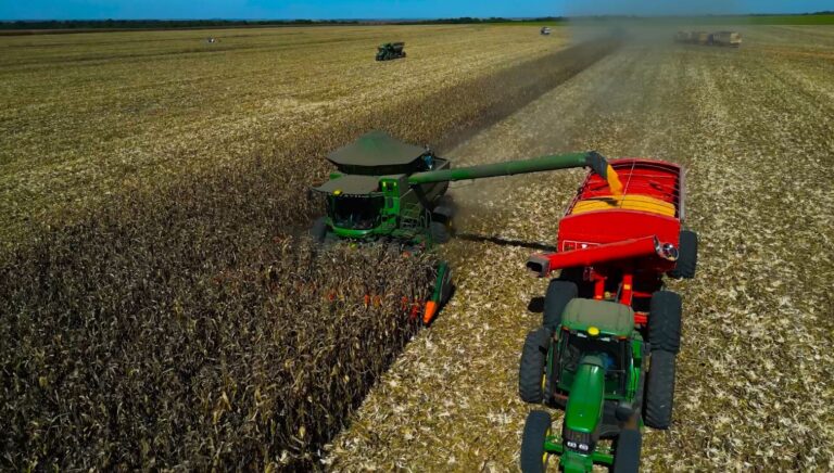 Milho: incertezas com clima dos EUA sustentam leve alta de Chicago