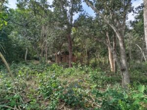 PMA autua oito pessoas por construções irregulares em APP no Rio Taquari