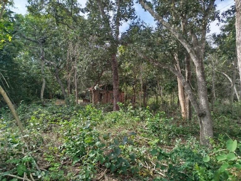 PMA autua oito pessoas por construções irregulares em APP no Rio Taquari