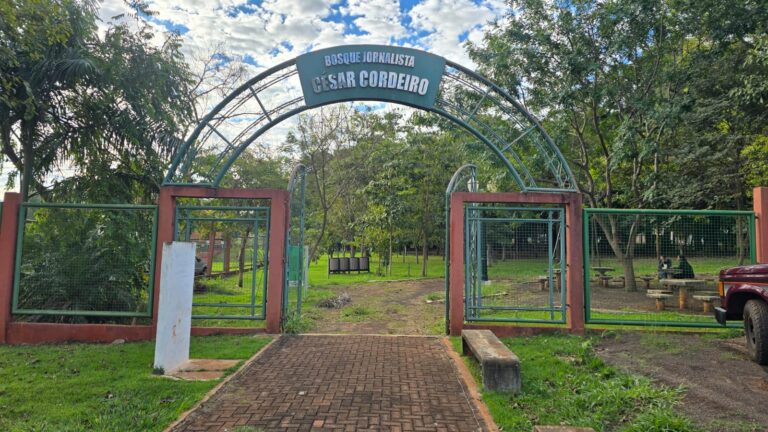 Perifeirarte começa nesta quinta-feira unindo arte, capacitação e cidadania