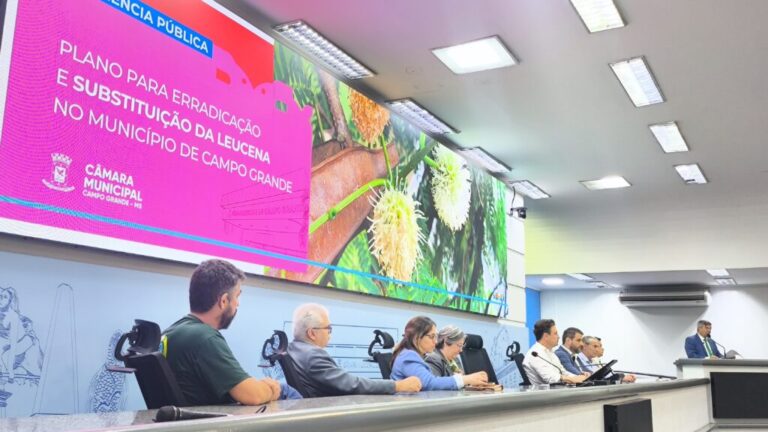 Prefeitura sanciona plano para a erradicação e substituição da Leucena