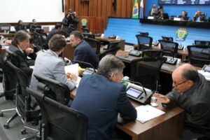 Projeto que reconhece o tuiuiú como ave símbolo do Pantanal de MS será votado