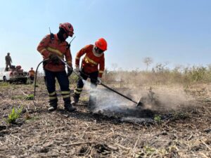 Seca coloca lavouras em risco e acende alerta sobre incêndios fora de controle