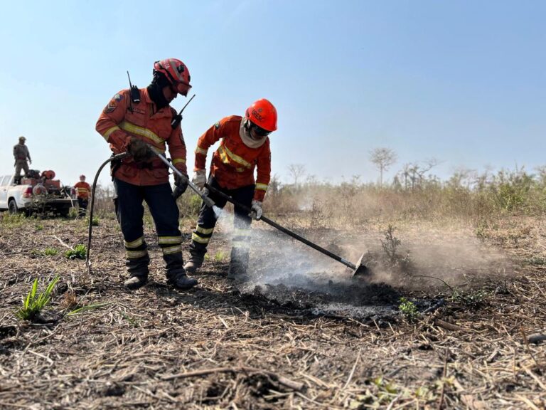 Seca coloca lavouras em risco e acende alerta sobre incêndios fora de controle