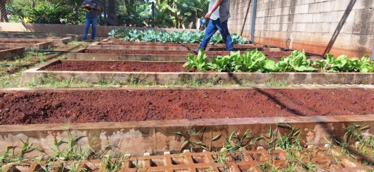Sistema de irrigação implantado pela Semades garante mais autonomia em horta do Educandário Getúlio Vargas