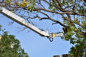 AGEMS reúne Municípios para articular ações integradas de manejo de vegetação urbana e segurança elétrica