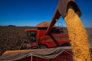 Agronegócio do Sul questiona efetividade do Plano Safra 2025/26