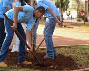 Alunos embelezam a Praça Ary Coelho com 400 mudas produzidas em Rochedinho