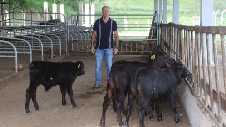 O pesquisador Luiz Sérgio de Almeida Camargo, da Embrapa Gado de Leite (MG), com os bezerros geneticamente editados. Foto: Rubens Neiva/Embrapa Gado de Leite

