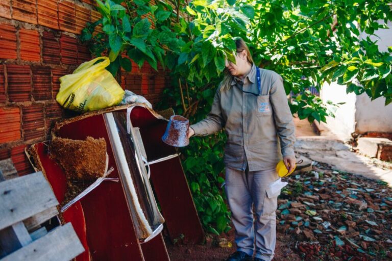 Apesar da baixa incidência, dengue ainda exige atenção