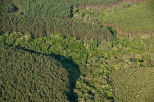 Aprosoja-MT diz que licenciamento ambiental trará agilidade para obras e produtores