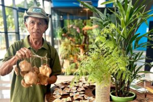 Bioparque Pantanal: espaço de sementes e frutos do Cerrado aproxima visitantes da natureza e resgata memórias