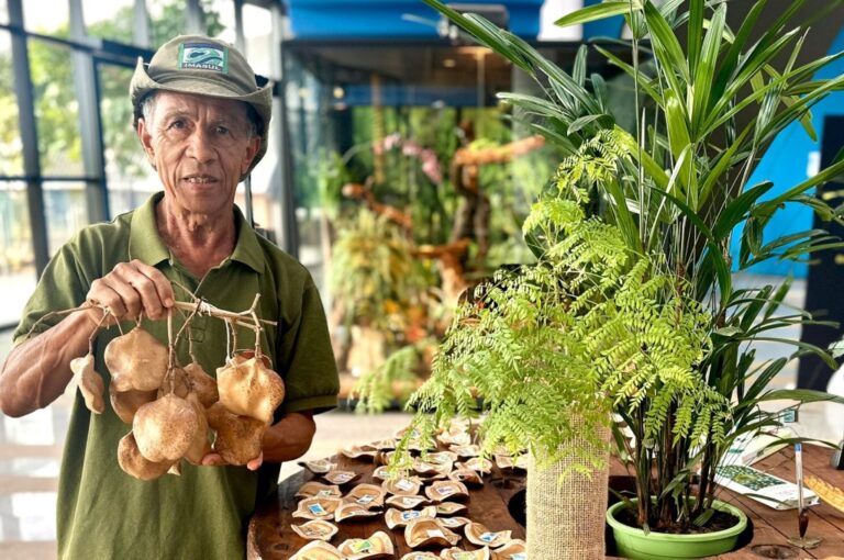 Bioparque Pantanal: espaço de sementes e frutos do Cerrado aproxima visitantes da natureza e resgata memórias