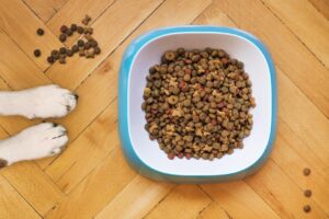 Brasil começará a exportar ração e petiscos para pets mexicanos