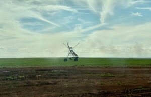 Brasil cria grupo de trabalho para ampliar investimentos agropecuários com Angola