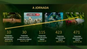 Carbono no pasto: conheça as fazendas brasileiras que já são solução climática