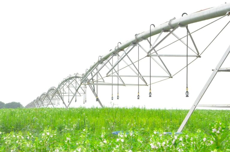 Cerrado lidera irrigação no Brasil e movimenta mercado potencial de R$ 14,4 bilhões