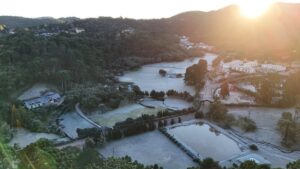 Confira as imagens da geada no distrito turístico de Monte Verde
