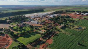 Da origem ao campo: ATTO Sementes produz sementes de qualidade para todo o país