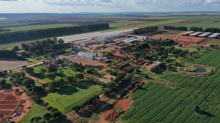 Da origem ao campo: ATTO Sementes produz sementes de qualidade para todo o país