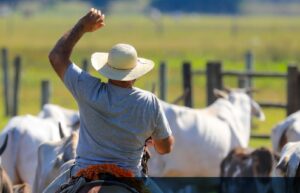 Dia do Pecuarista: atividade gera empregos e movimenta 900 bilhões por ano