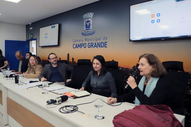 Especialistas ouvidos pela CPI do Transporte defendem planejamento urbano integrado e correções no sistema atual