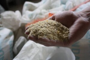 Farelo recua e óleo de soja sobe em Mato Grosso