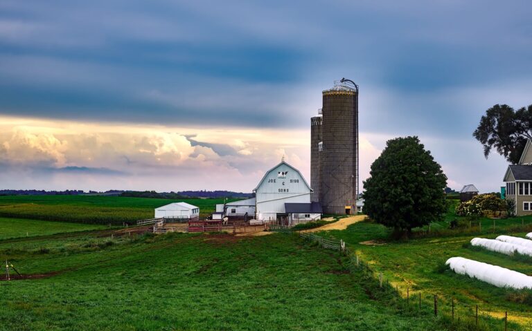 Fazenda ou empresa? ESG, sustentabilidade e o futuro do agro