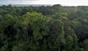 Licenciamento ambiental moderniza e desburocratiza o país, avalia CNA