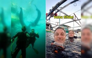Luciano Huck e Benício mergulham com tubarões e Angélica reage