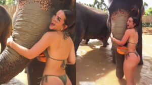 Mel Maia posa com elefantes durante viagem pela Tailândia