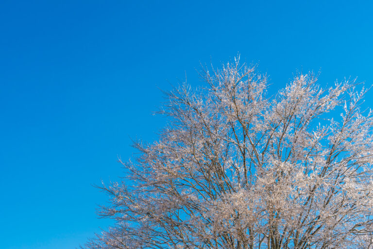 Nova onda de frio? Saiba como fica o tempo daqui a outubro