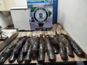 PMA de Coxim apreende 134 kg de pescado ilegal durante operação na região dos Bispos